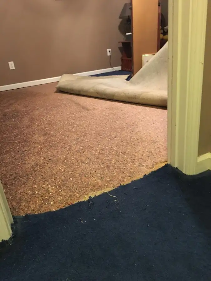 Carpet pad removal revealing water damage during Water Mitigation Services in Marengo