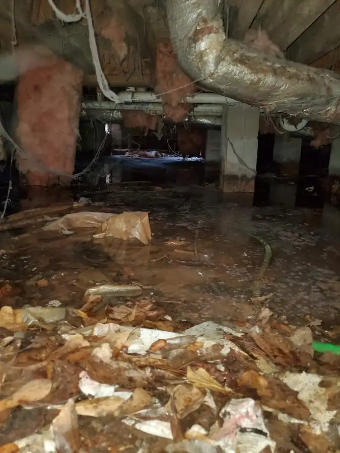 Crawl space flood assessment for Leak Detection & Repair in Marengo